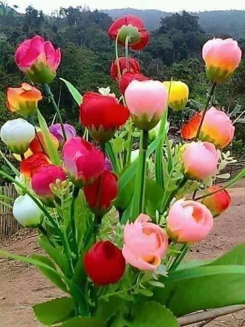 alvarofb23's tweet image. @marie_nassar
#GoodMorning 
#happyfriday
#BeautifulWeekend 
#StayAtHomeAndStaySafe