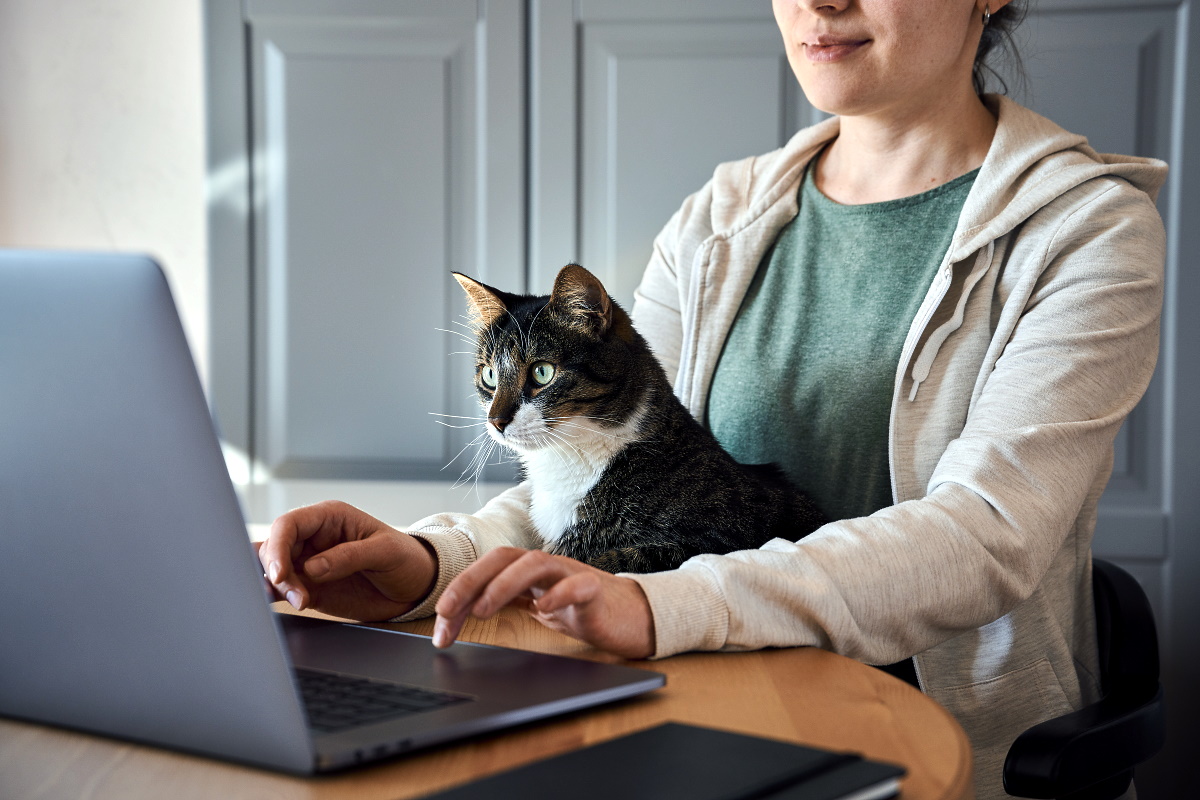 blenditsrl's tweet photo. #SmartWorking  ora un obbligo per le #aziende
https://t.co/y432ezb7Rr
Un nuovo modo di vivere la #vita lavorativa in cui bastano piccoli accorgimenti per poterla migliorare, vantaggi sia per il dipendente che per l'azienda
Scopri come
https://t.co/Wdin6CXx4e
#LavoroAgile #Covid19 https://t.co/edIYdSxGVn