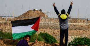 Siddik42209587's tweet photo. #stop_genocide 
#free_palestine 
#save_aksa https://t.co/rrhZ9sDQNI