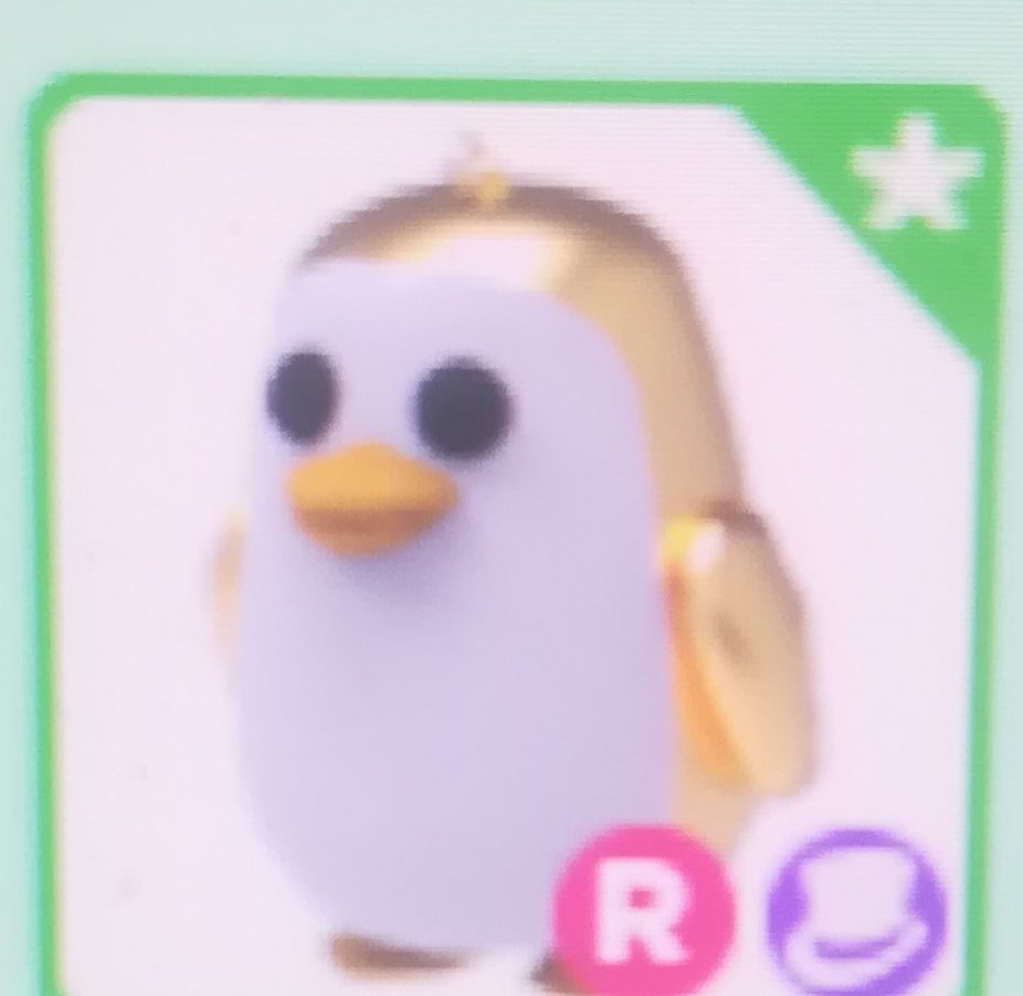 polinesi7's tweet photo. Hi guys im trading this pinguin https://t.co/D4Hko5UQAH