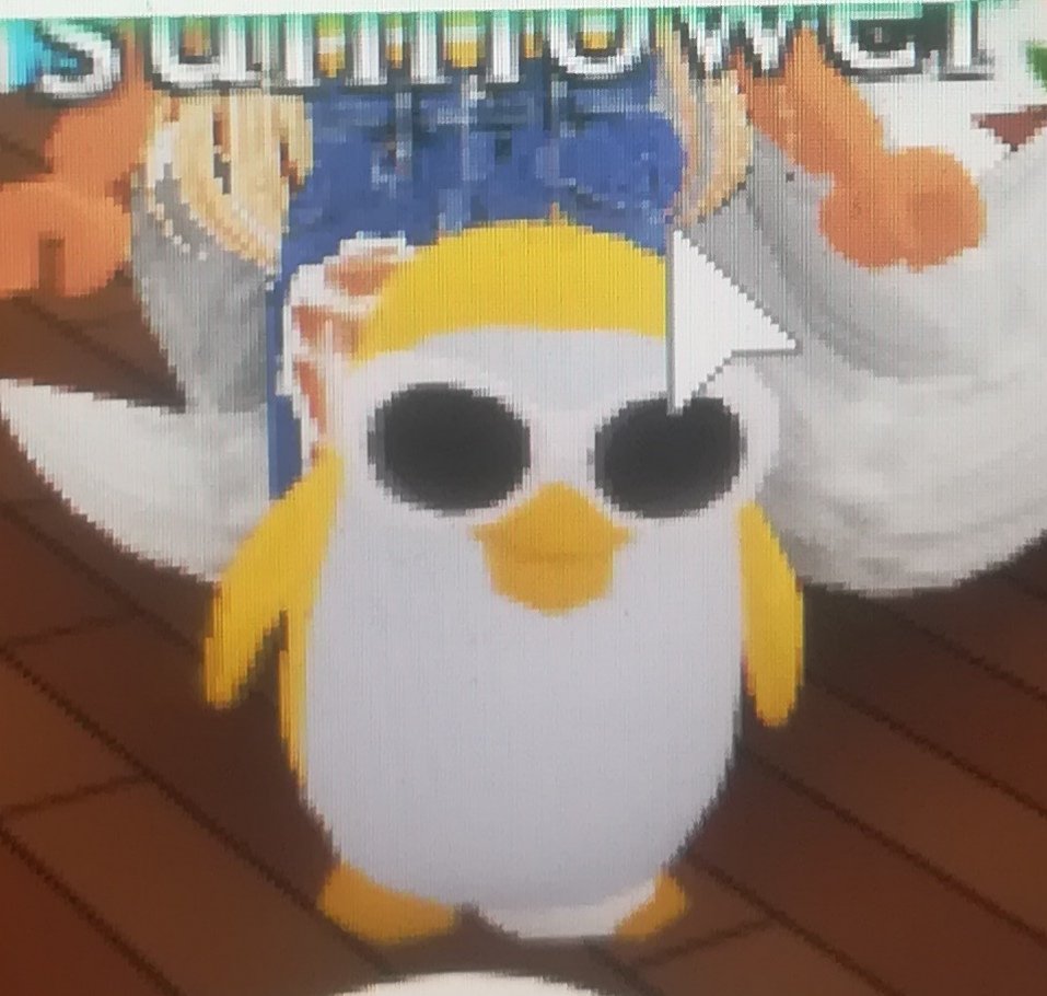 polinesi7's tweet photo. Hi guys im trading this pinguin https://t.co/D4Hko5UQAH