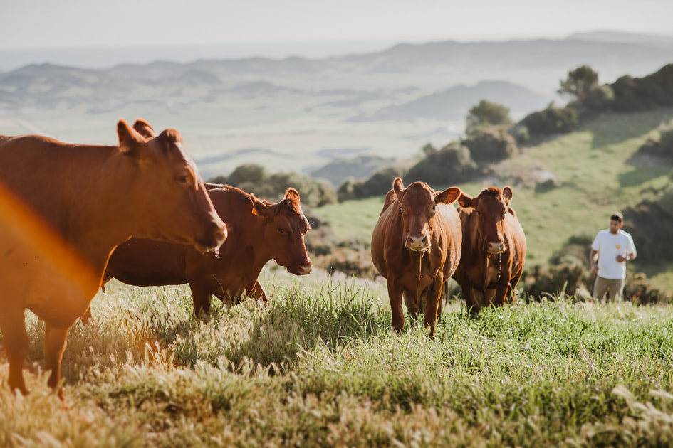 Avui, dia de Sant Isidre, es festeja el patró de la pagesia i des de #MadeinMenorca aprofitem per reivindicar la importància del camp per a la vida, la cultura i l’economia ➝ bit.ly/MIM_SantIsidre
📷 <a href="/MenorcaBiosfera/">Menorca Reserva de Biosfera</a>