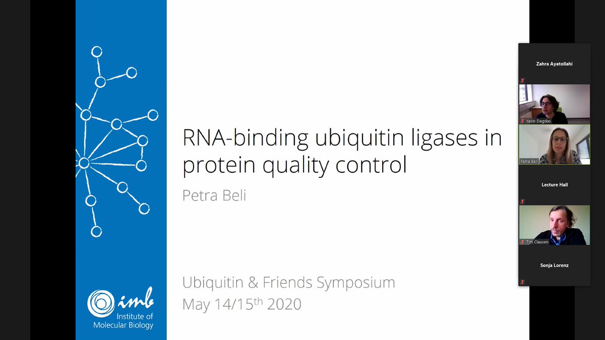 Great talk by Petra Beli from <a href="/imbmainz/">IMB Mainz</a> and interesting discussions starting the 2nd day of the #ubfriends2020 symposium <a href="/VBC_Ubiquitin/">Vienna Biocenter Ubiquitin Club</a>
