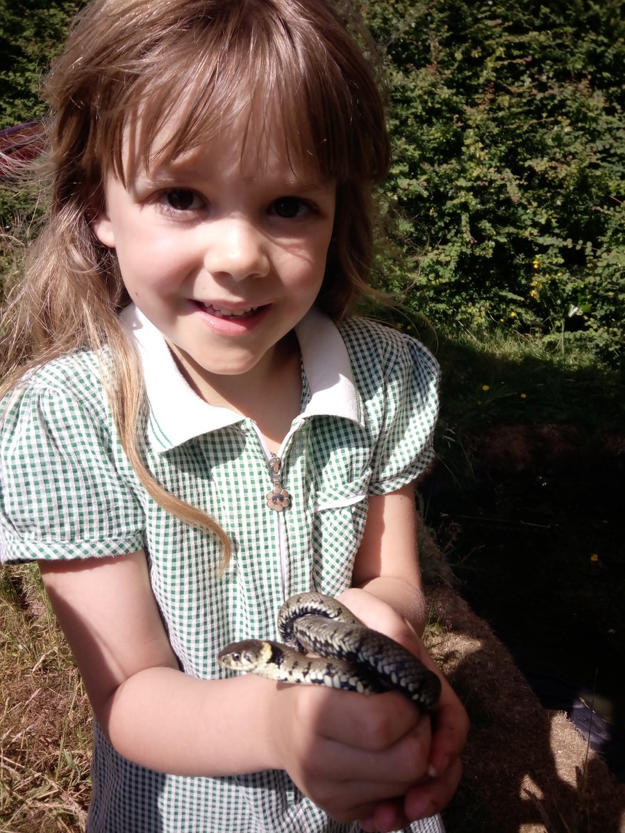 patrick_barkham's tweet photo. @ChrisGPackham Holding a grass snake is a HUGE moment in childhood. This is Esme's... #whenIwaswild https://t.co/vhnDTuBwYF