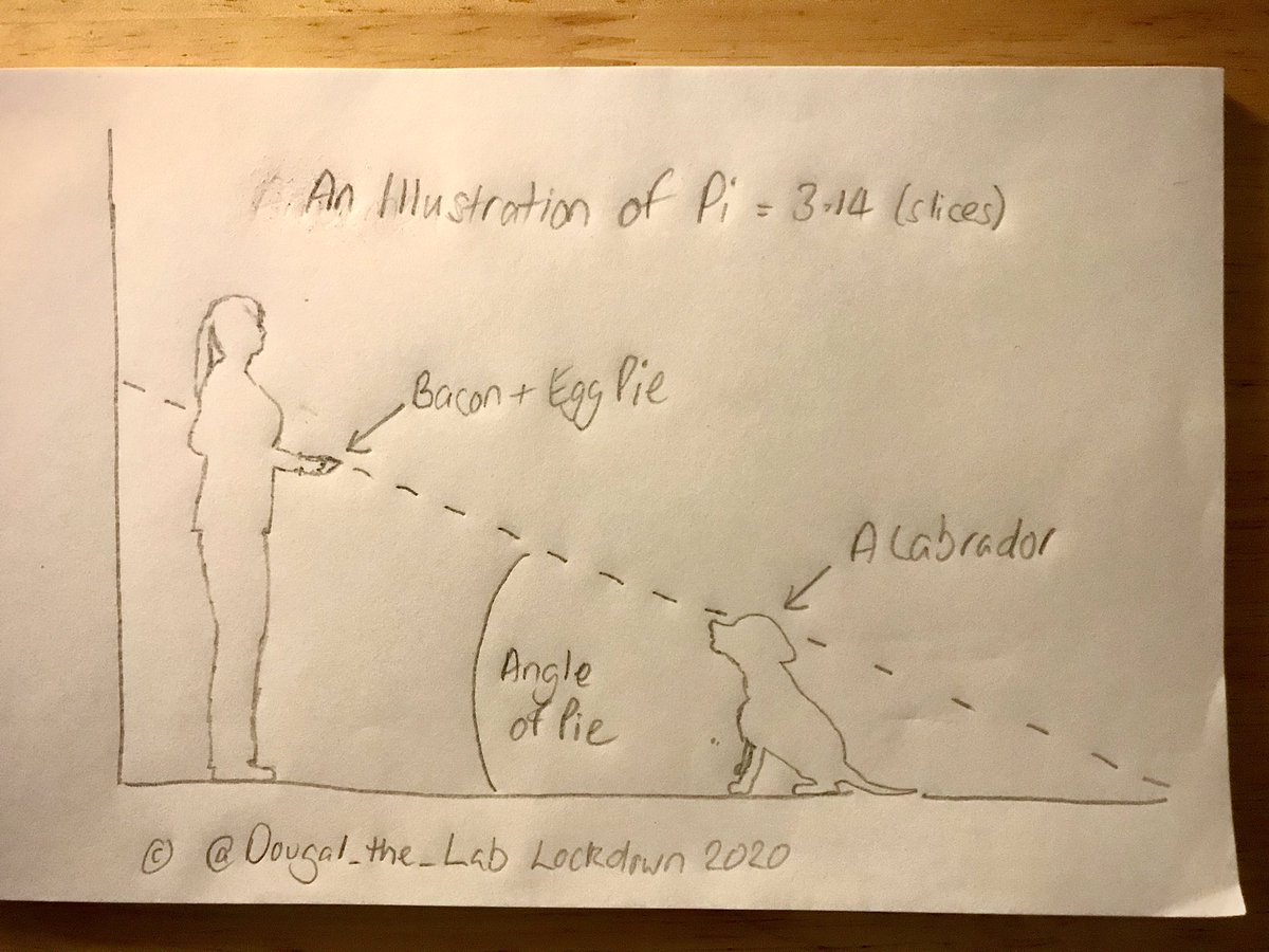 Dougal_the_Lab's tweet image. Mum has baked a Bacon &amp;amp; Egg pie. 

I present ‘An Illustration of Pi = 3.14 (slices)’.

🥓🥚🥧😋😋 #LockdownMaths #LockdownPie #LockdownBaking