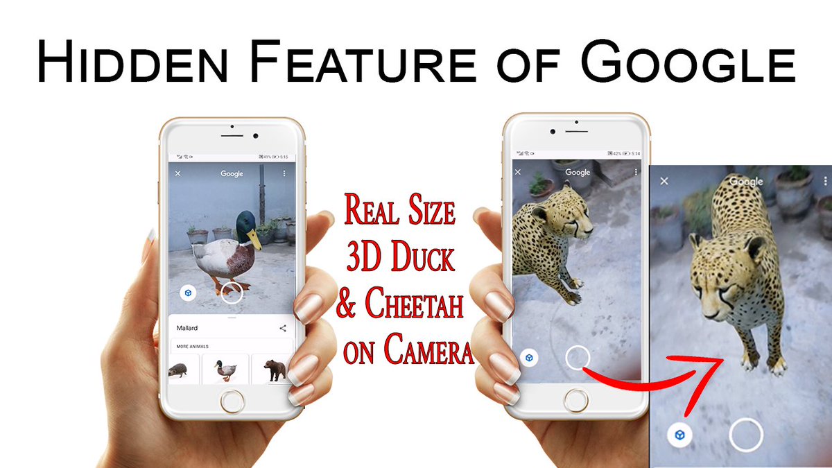 HDsheet's tweet photo. google 3D animals check latest video on #hdsheet https://t.co/m3ZS2Vn4VN