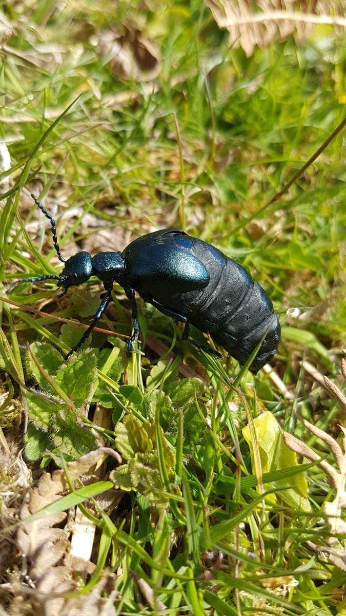 Rob Yorke tweet media