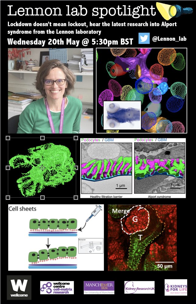 Alport UK tweet media