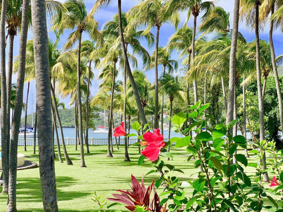 ICMI The Collection tweet media