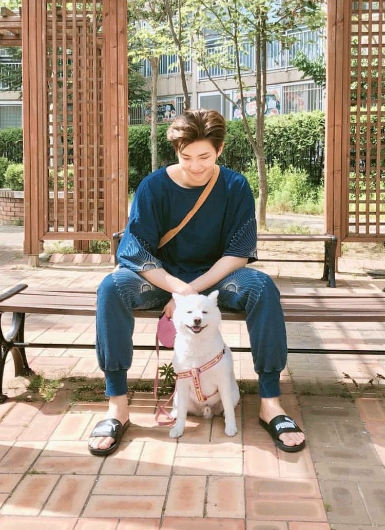 Healing with Namjoon; a needed thread