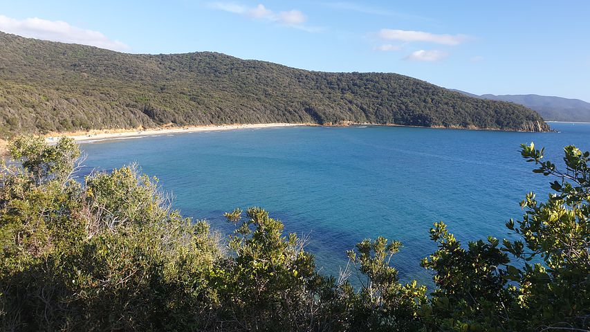 CRToscana's tweet photo. ll nuovo speciale digitale della #BibliotecaDellaToscana Pietro Leopoldo è dedicato alla #Maremma. E-book, video, visite virtuali, app per scoprire un territorio dalle mille facce.
#InDigitale la Biblioteca della Toscana è sempre con te. Buona lettura! https://t.co/z8fVEdvy3b https://t.co/1PzHRE8VUH