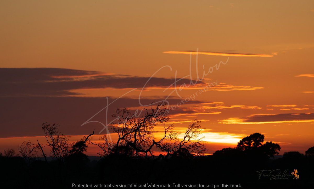 Fire & Sunsets #sunsets #fire #cheshire #firestallionphotography @JustSunsetVibes