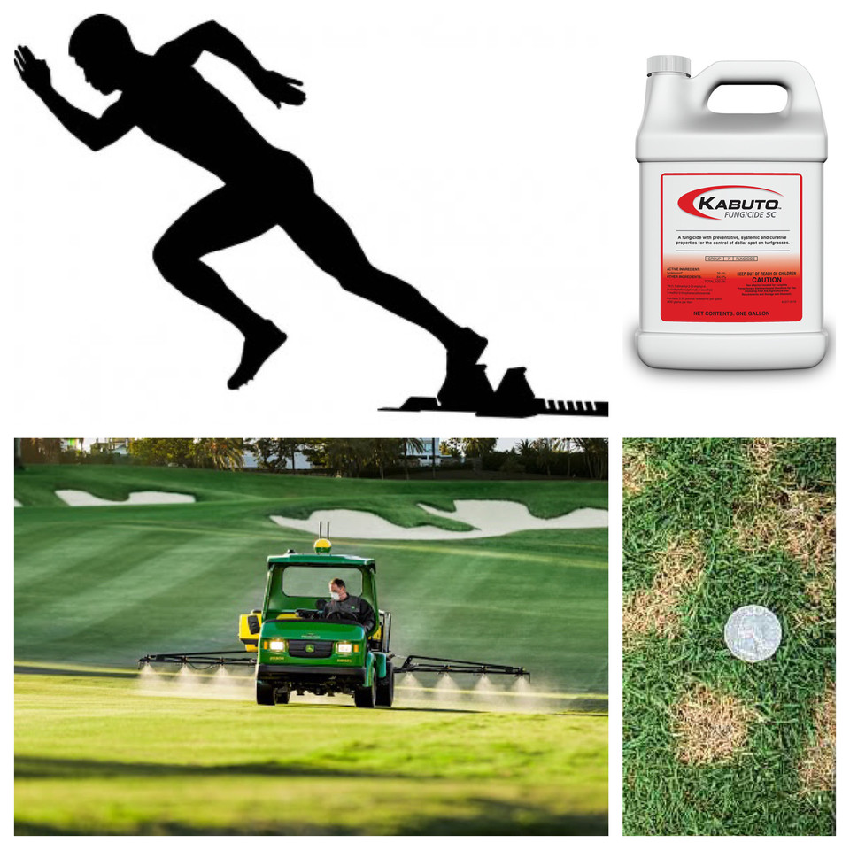 jfcanning's tweet image. DS models are telling us to get that early season DS App out now.  Make #Kabuto fungicide @pbigordonturf the first App out of the blocks 🏃‍♂️🏃‍♀️&amp;amp; keep your T&amp;amp;Fwy’s clean ⛳️🧽🚿🛁🛀w/a liquid SDHI! #fungicide #keepemclean  #turf