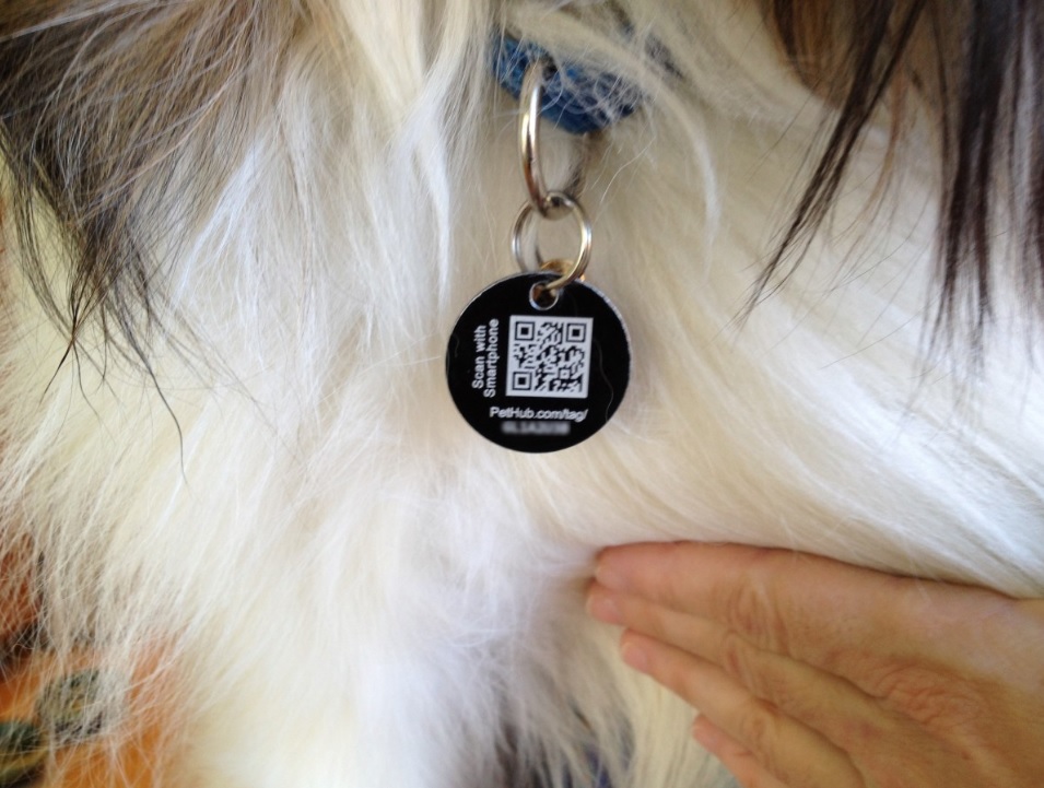 Animales3cero's tweet photo. https://t.co/5aK4lYPAIG Códigos QR para identificar a tu mascota. A diferencia de las placas tradicionales, que solo permiten algunas palabras, con este método podrás ingresar más. 🐹🦊 #animales30 #loveyourpet #mascotas #chip #mascotasperdidas #QR #perros #dogs #animales https://t.co/9AKQQlxIqD