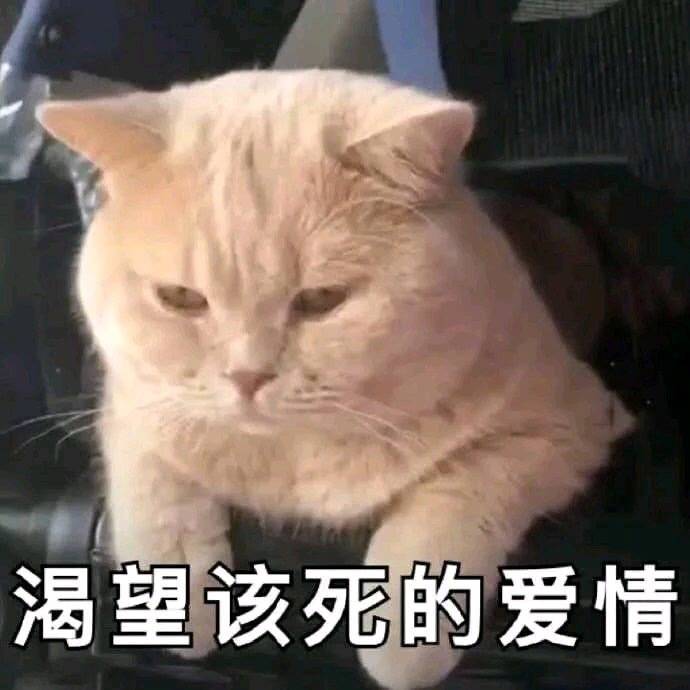 star_solitude's tweet photo. happyending please~

WELOVE FRANKDRAKE｜#ดั่นกูตอนจบ｜@FTHANATSARUN｜@DRAKE_LAEDEKE #คั่นกูตอนจบ https://t.co/ev4XmiQiuV