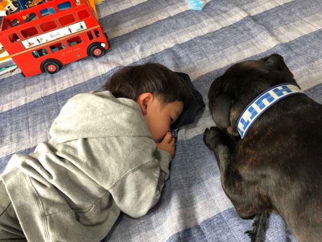 TfL's tweet image. 🚶🚴 Avoid using public transport. If you can, wear a face covering, maintain social distancing, and please walk or cycle for all or part of your journey

#LondonTogether

Thanks for sharing Atsuo