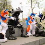 Photo by Botherdogs (@bthrdgs)