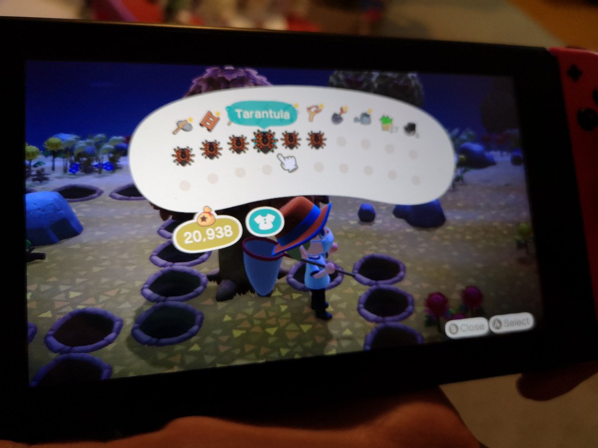 water_flaming's tweet photo. #TarantulaIsland #AnimalCrossing https://t.co/1sUaNQ4YiV