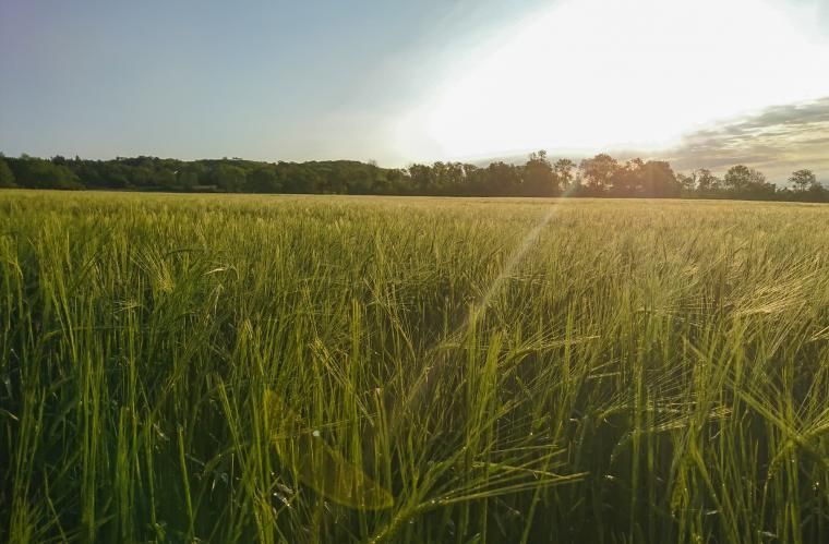 Futureproof.community (@joinfutureproof) on Twitter photo Gezocht🔎 <a href="/solidaridad_nl/">Solidaridad</a> is op zoek naar samenwerkingen voor de ontwikkeling van klimaatbestendige soorten suikerriet in India. Houdt jouw bedrijf zich hiermee bezig of ken je een bedrijf? Laat het weten, lees meer op het INDUS-Forum: buff.ly/2T7YvSQ. Gezocht🔎 <a href="/solidaridad_nl/">Solidaridad</a> is op zoek naar samenwerkingen voor de ontwikkeling van klimaatbestendige soorten suikerriet in India. Houdt jouw bedrijf zich hiermee bezig of ken je een bedrijf? Laat het weten, lees meer op het INDUS-Forum: buff.ly/2T7YvSQ.