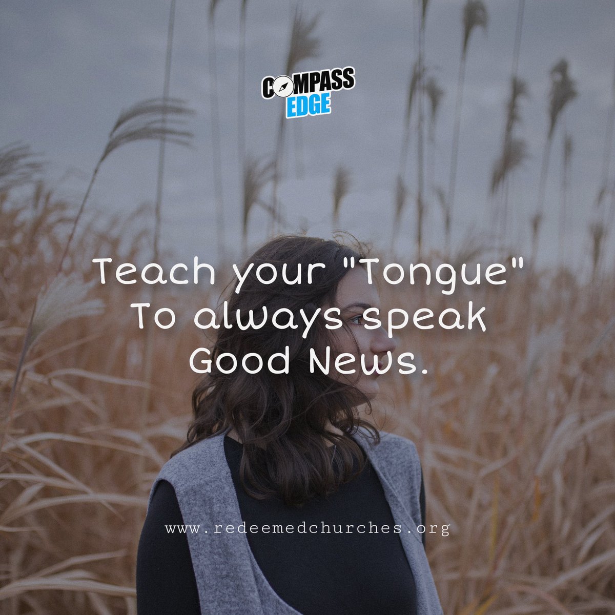 rolecyouthCH's tweet photo. Proverbs 15:4
#compassedge https://t.co/L6lx7bHLPz