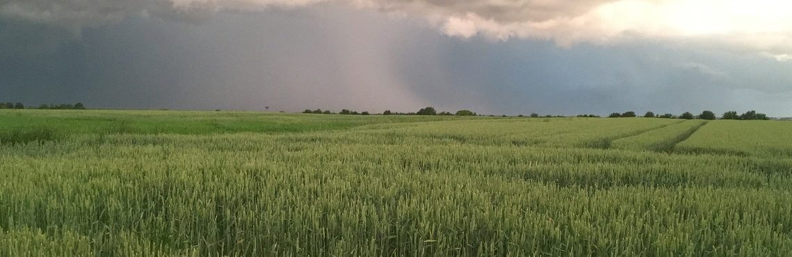 juliappro's tweet photo. ❌Des semis complètement noyés 🌊🌱
❌Des céréales qui meurent de soif 🔥🌾
❌Explosion de maladies en vignes 🤒🍇
➡️ Cette année c'est sûr, dame nature n’a pas fait dans la demi-mesure👿
Retrouvez les témoignages des coops et négoces sur #ReferenceAgro
https://t.co/B13ueZHvug https://t.co/DYAFeqkYxa