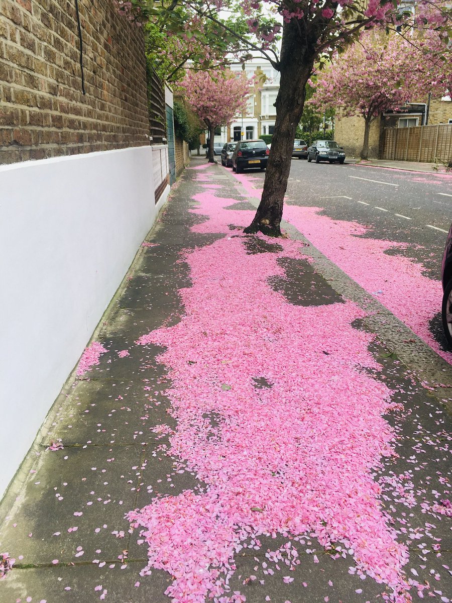 OldLondonW14's tweet photo. @bushtheatre @PhoebeEclair #BushPhotoChallenge  pink pavements https://t.co/GndiCqrscZ