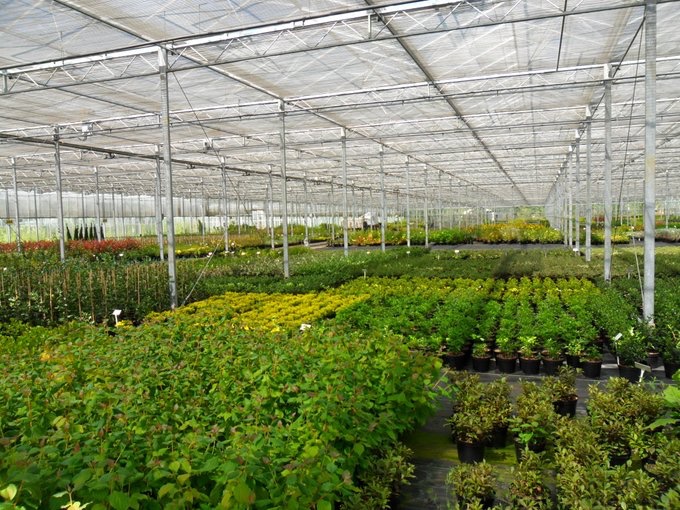 Schools_designs's tweet photo. Spring is definitely here and at our Plant Nurseries, we now have our full stock of Trees, Shrubs and Sensory Plants, ready for this year’s School Playground Projects. #plants #trees #shrubs #ready #landscaping #construction #natural #naturalplayground #spring #planting https://t.co/0o5ndKQLcb