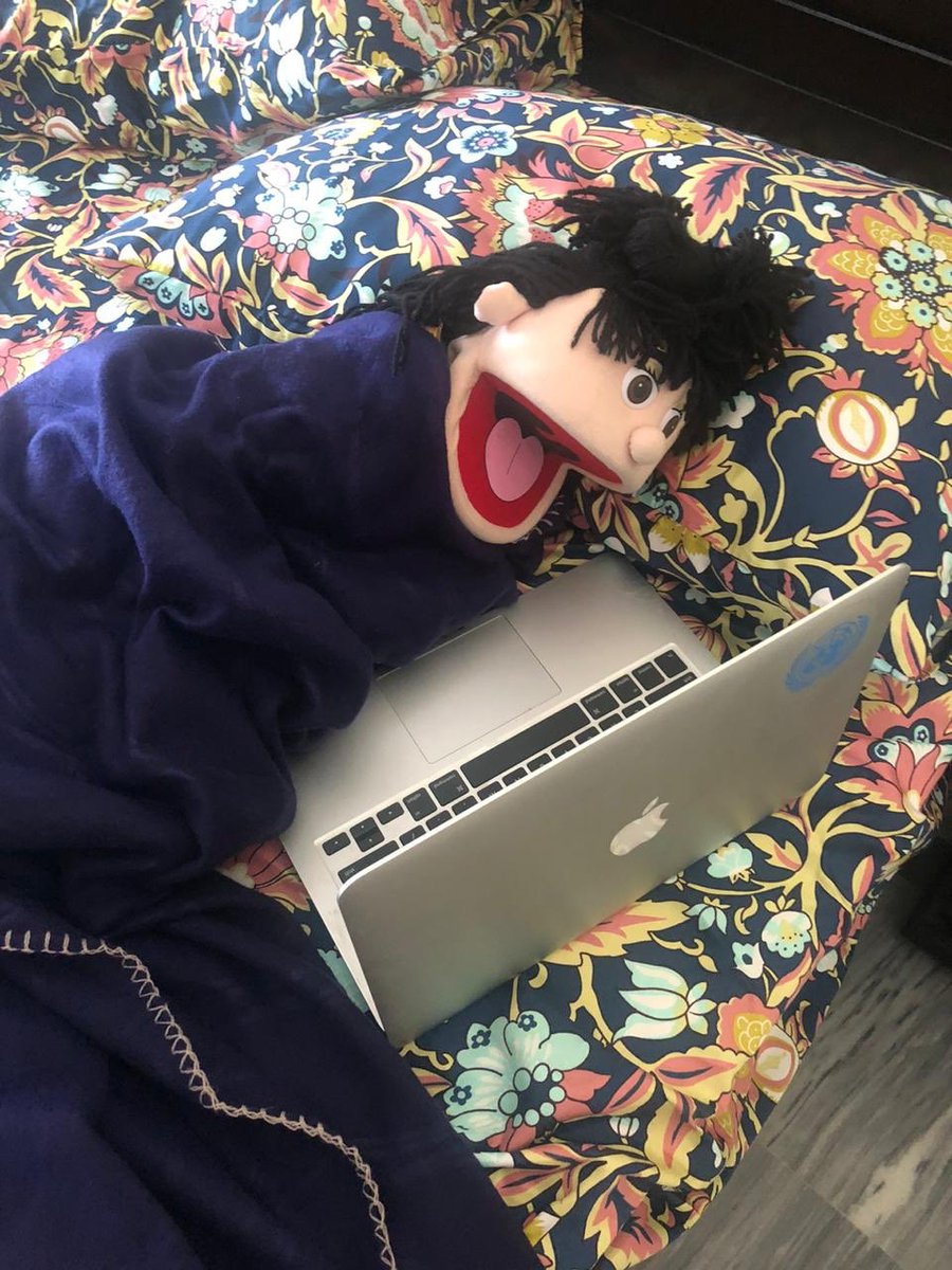 PeacefulPuppets's tweet photo. Meethi is attending a zoom call ‘working from home’ style. Meethi is used to this routine now as it helps her adjust her sleep cycle to her liking. She misses her colleagues and their real voices a lot. The current routine feels artificial and she misses interacting with others! https://t.co/LoOSFsqS30