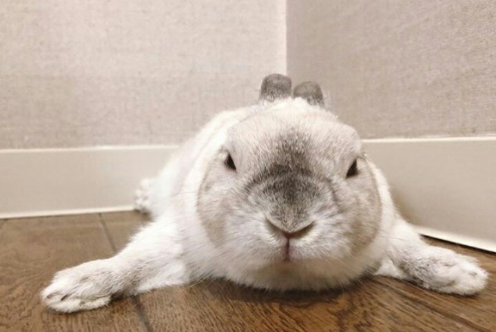 🐇August🐰 tweet media