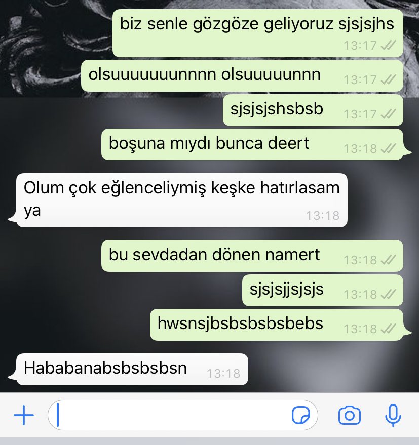 rezil hayatlar vol. yok bu kadarı yoktur yani;