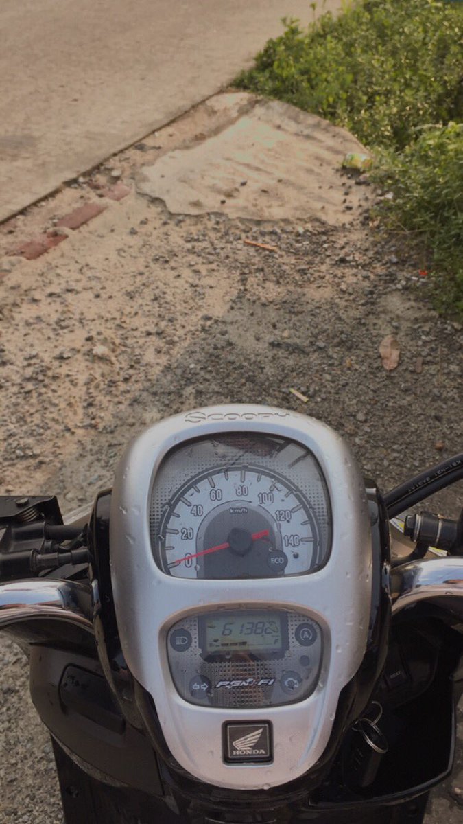 daisyeflow tweet media