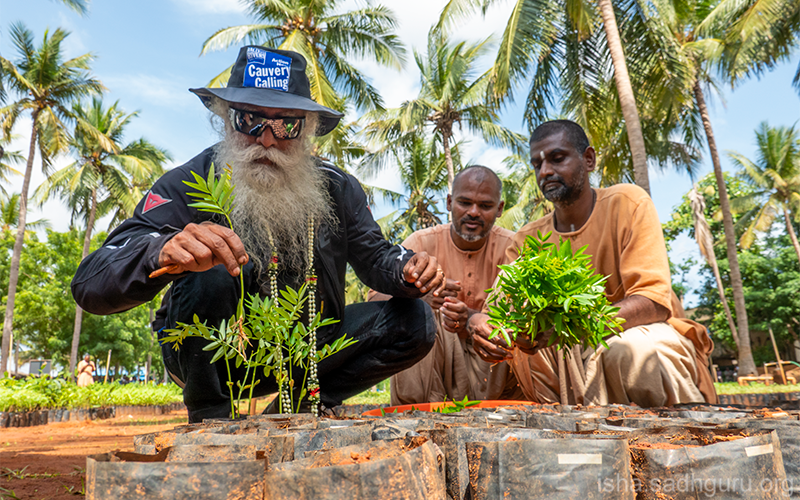 Sadhguru (<a href="/SadhguruJV/">Sadhguru</a>) Tweeted:
Do not wait for problems to overwhelm you. Take action before problems come. Preemption is the Path to Safety and Success. #SadhguruQuotes  (x.com/SadhguruJV/sta…)