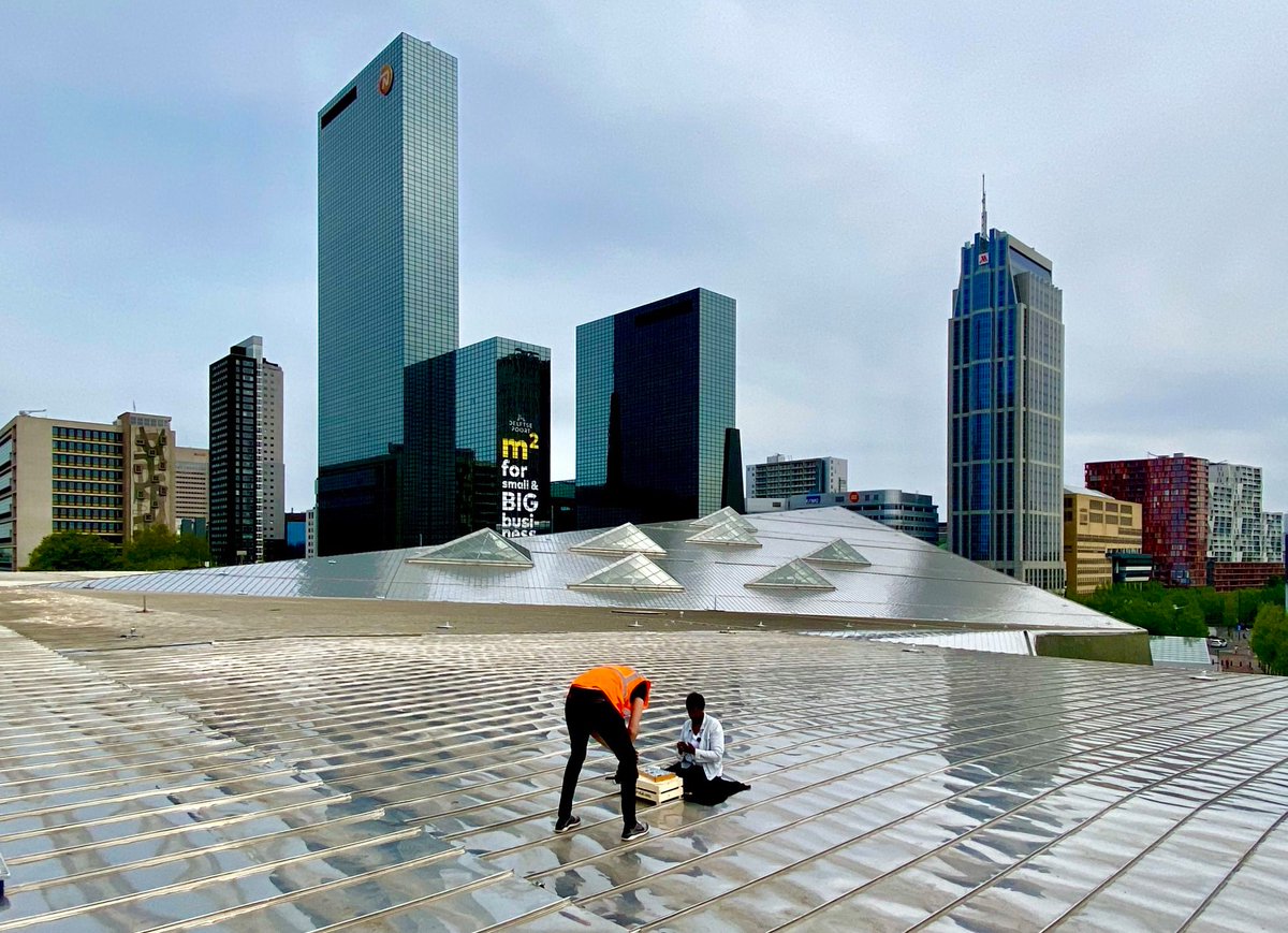 Rotterdamse Dakendagen lanceert corona-proof programma 2020: Rotterdamse Dakendingen! O.a. toffe registraties van dakoptredens met partners als @Operadagen <a href="/SpraakuhlooS/">SpraakuhlooS</a> <a href="/ConnyJanssen/">Conny Janssen</a>. Check rotterdamsedakendagen.nl #dakendingen010 #dakendagen010 #rotterdam #uitjedak #dakendingen