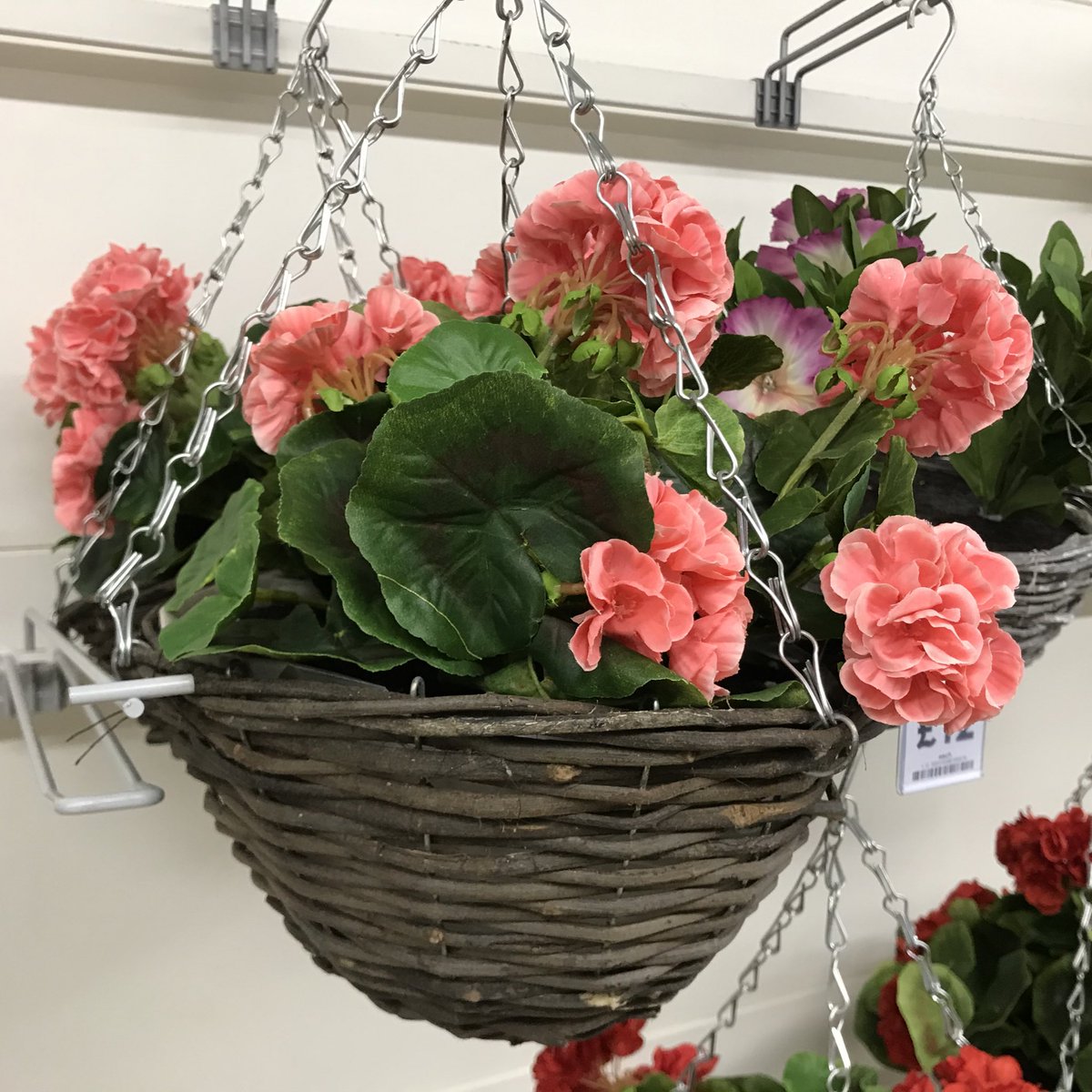Apithanny's tweet photo. What are you thinking @Tesco? Real bedding plants are bad enough (most aren’t beneficial to pollinators) but hanging baskets filled with PLASTIC flowers?! If you haven’t heard, we’re in a biodiversity and climate crisis. How about replacing these with packets of real seeds 🌱🌻 https://t.co/ASDvMYSNWl