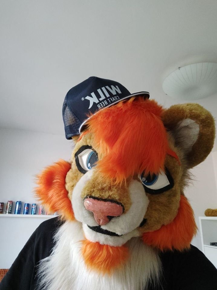 FurryArrows's tweet photo. How's Your #FursuitFriday ? 
Ognik is the best example that You can have fun with Your fursuit even if You must #stayhome :) 

#fursuit #furryfandom #lion #cute https://t.co/vzW8d5ZfG6