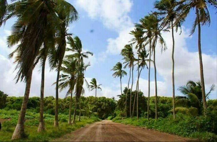 kalaw_h's tweet photo. Somaaliya
#shaabelada #hoose(#Jambalul iyo #Afgooye) iyo #shaabelada #dhexe (#Cadale) https://t.co/YsqGeTvVU1