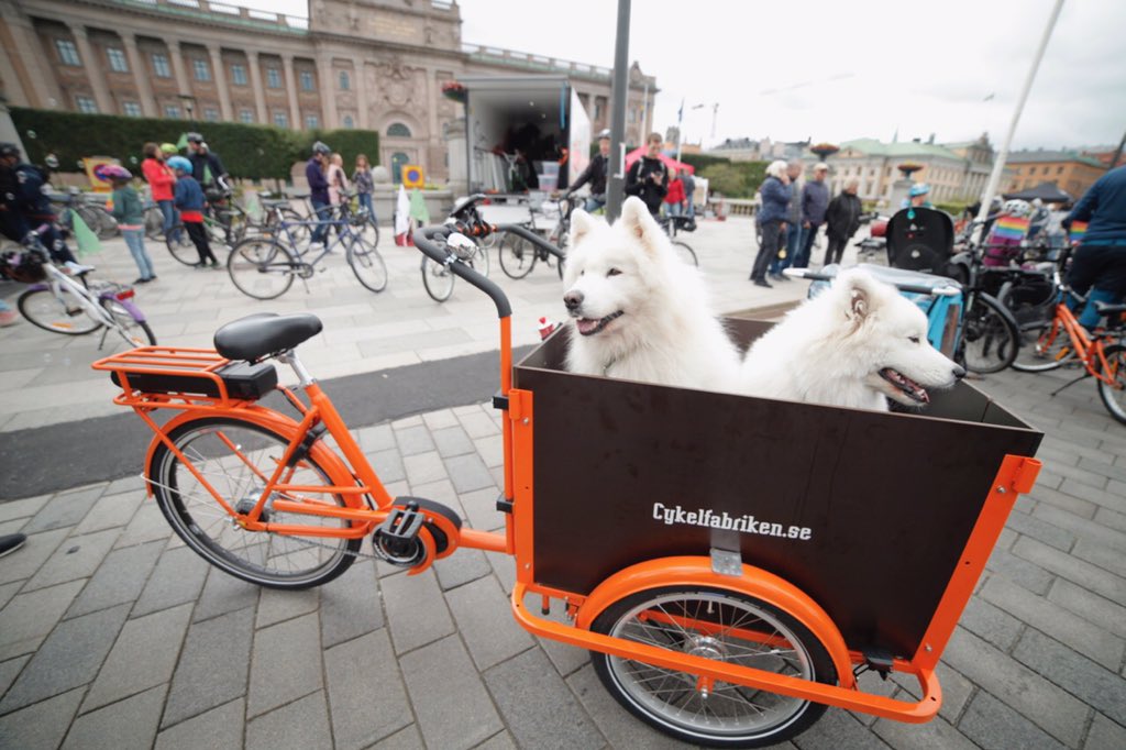 Vovvarna gillar lastcykel #dogonbike #cargobikedog #cargobike #lastenrad #bakfiets #bicidecarga #velocargo #lastcykel #commuting #cykla #tavarapyörä #lastipyörä #lastesykkel #ladcykel #sthlmeltramp #fossilfrittsverige #mobilist #fossilfrifärdplan #klimat2030