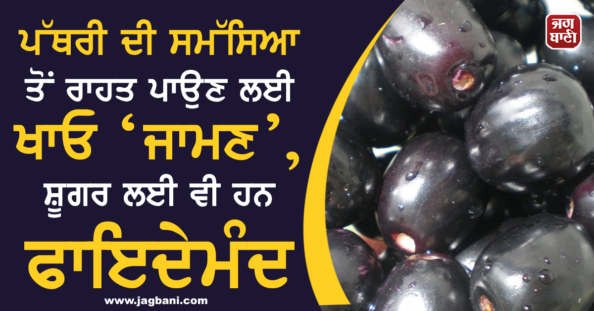 JagbaniOnline's tweet image. ਪੱਥਰੀ ਦੀ ਸਮੱਸਿਆ ਤੋਂ ਰਾਹਤ ਪਾਉਣ ਲਈ ਖਾਓ ‘ਜਾਮਣ’, ਸ਼ੂਗਰ ਲਈ ਵੀ ਹਨ ਫਾਇਦੇਮੰਦ 
#JavaPlum #Benefits
jagbani.punjabkesari.in/health/news/ja…