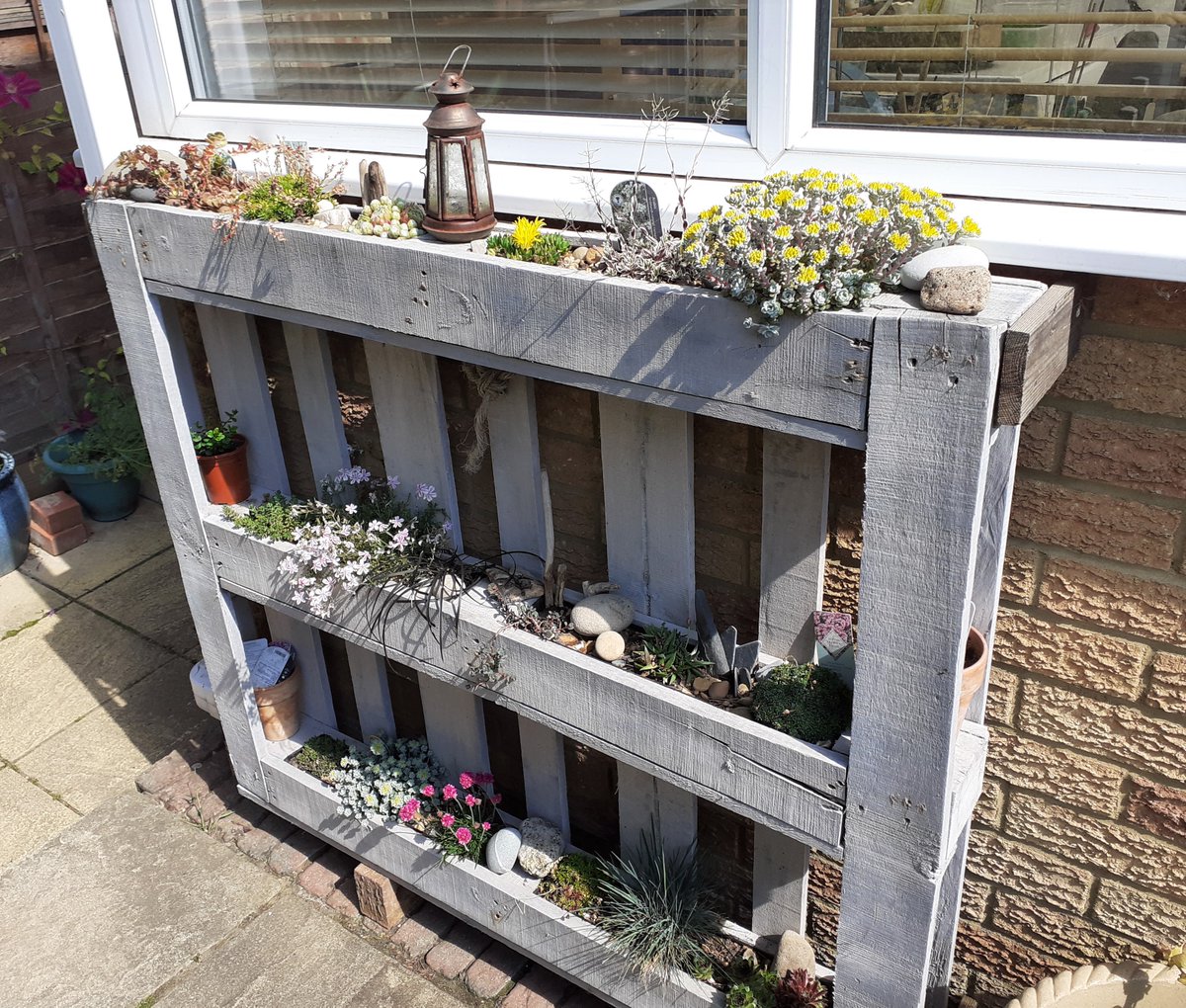 HarrowLibs's tweet photo. Library staff have embraced all aspects of #GetCreativeWeek and #gardening seems to be the favoured way to go! We ♥️ Sharon's wooden planter - take a look! #LibrariesFromHome https://t.co/o4dUIs3Fgl