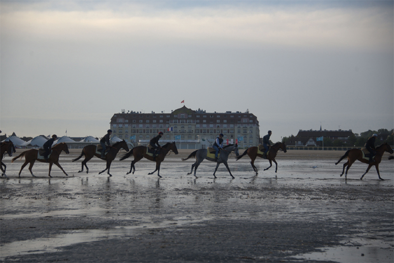 DeauvilleFr's tweet photo. La plage de #Deauville ouvre le matin de 6h à 9h pour les #marcheurs🚶et l'entrainement des #chevaux 🐎 pros. ❗️les chevaux devront arriver montés. Nous comptons sur vous pour respecter la distanciation et les gestes "barrière". Les précisions 👉 https://t.co/3rq998gKqr https://t.co/sjaIHhJSjT