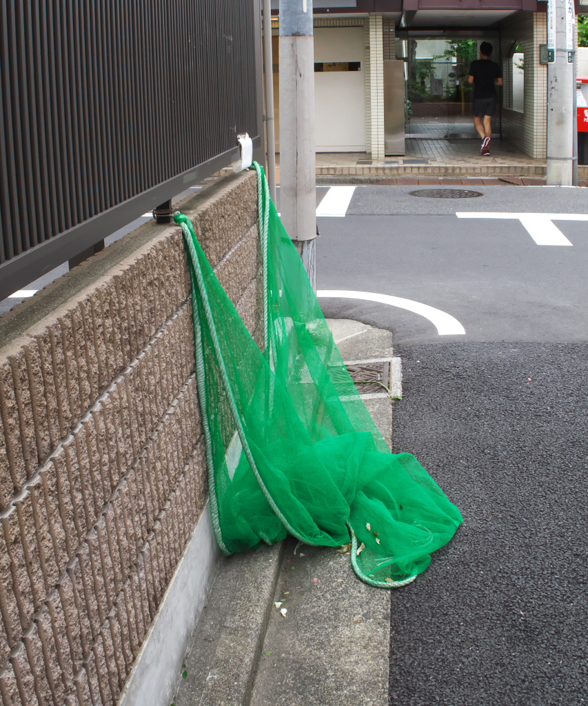 taku3boku3's tweet photo. "Blue and Green"
#MINOLTA #DiMAGE S304
#PENTAX Q7 + 04 TOY LENS WIDE
#ミノルタ #ディマージュ #21DC
#pentaxq https://t.co/7fG6KB5F8K