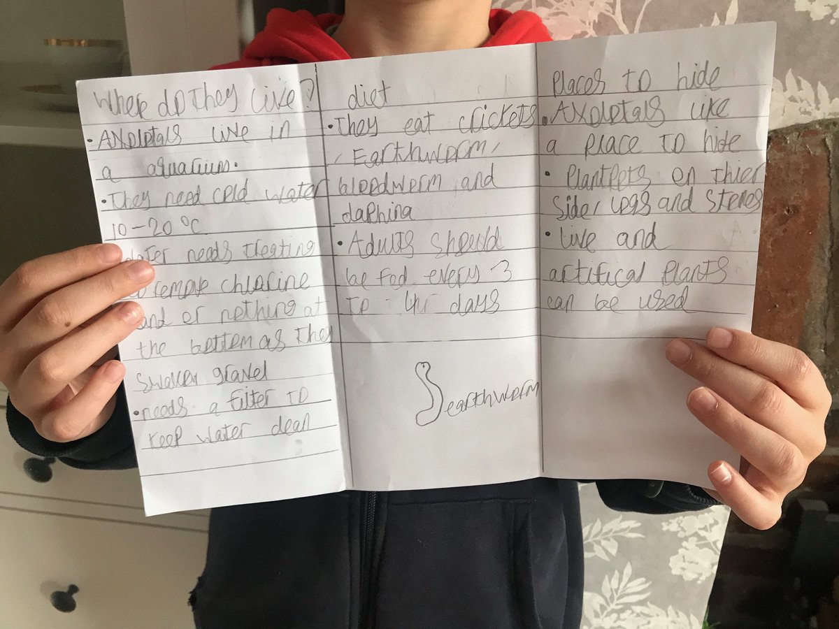 wooltonprimary's tweet image. 4M sharing some of the lovely work they have been completing at home #WPSTalent #WPSHomeLearning ⭐️👏✔️