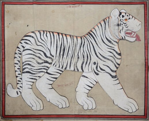 OlympiaAuctions's tweet photo. For Flora and Fauna Friday during this Indian Works of Art Week, herewith more of a Fauna themed cloth banner depicting a tiger from Kotah, Rajasthan, India from the early 20th century. India is now estimated to be home to around 70% of the world's tigers.
#IndianWorksofArtWeek https://t.co/dYGrPXbo0p