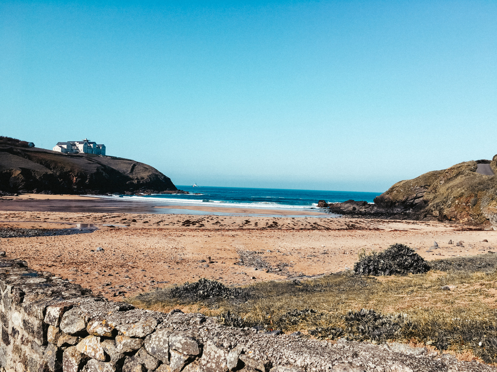 Colroger Holidays tweet media