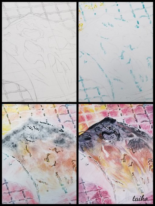 制作過程です✍️色鉛筆のみで仕上げたかったので、白い部分は水彩用のマスキングでガードして進めました? 