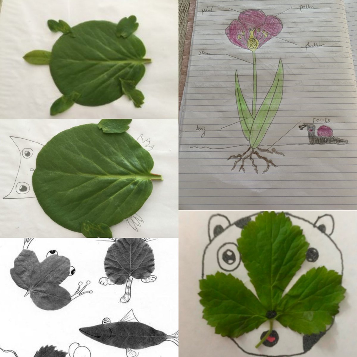 After exploring the properties of plants yesterday, the children created some leaf pictures. This enables the children to not only get creative, but look closer at the leaf itself and its features. Well done everyone! #ScienceAtHome #art <a href="/Accprimary/">Captain's Close</a>