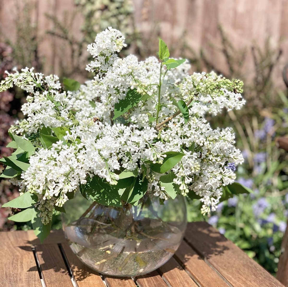 centremk's tweet photo. Kirsty from The Flower Mill, has been busy creating flower arrangements from her garden.💐 Read out latest blog post, for Kirsty's easy step by steps to make your own flower arrangements at home.🌿🌼@flowermill6 

(Link: https://t.co/QonvsW7Vgy) https://t.co/0G0PO7nSOc
