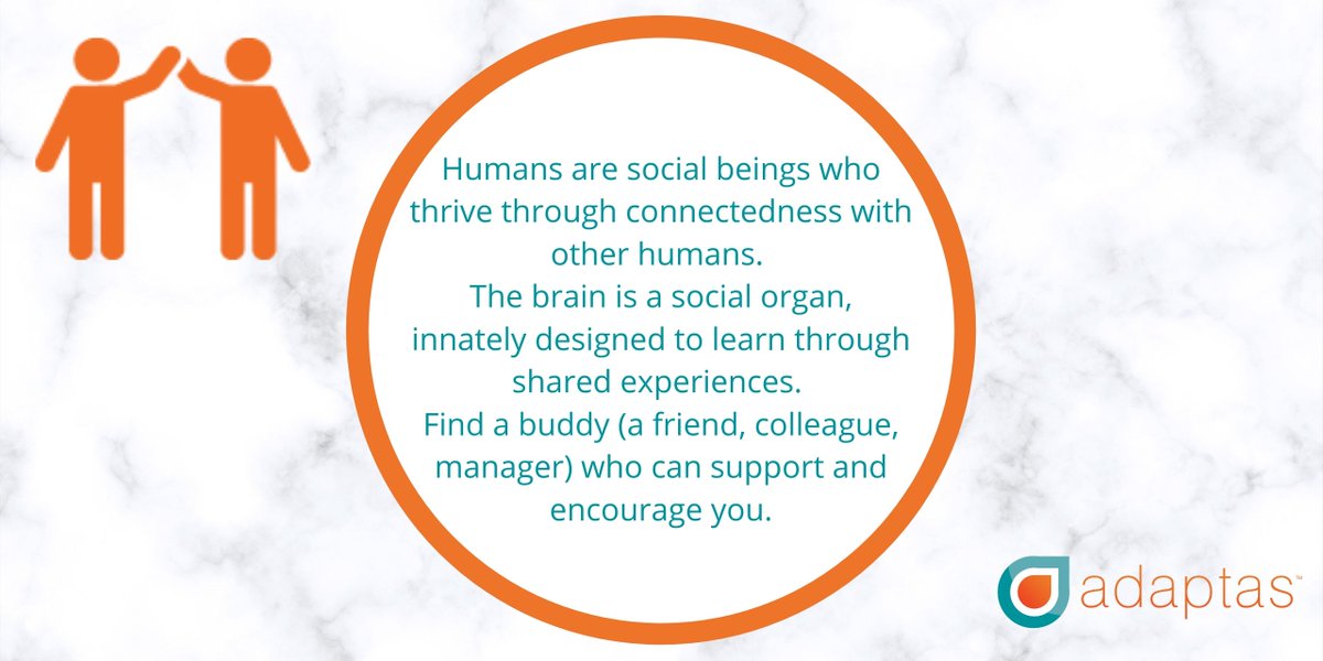 adaptastraining's tweet photo. #SocialBeings #Connectedness #SocialOrgan #Experience #LearningisHabitChange #OurLearningBrain #MaximizingBrainPotential #Adaptas #AdaptasTraining https://t.co/cGzz53y0Tr