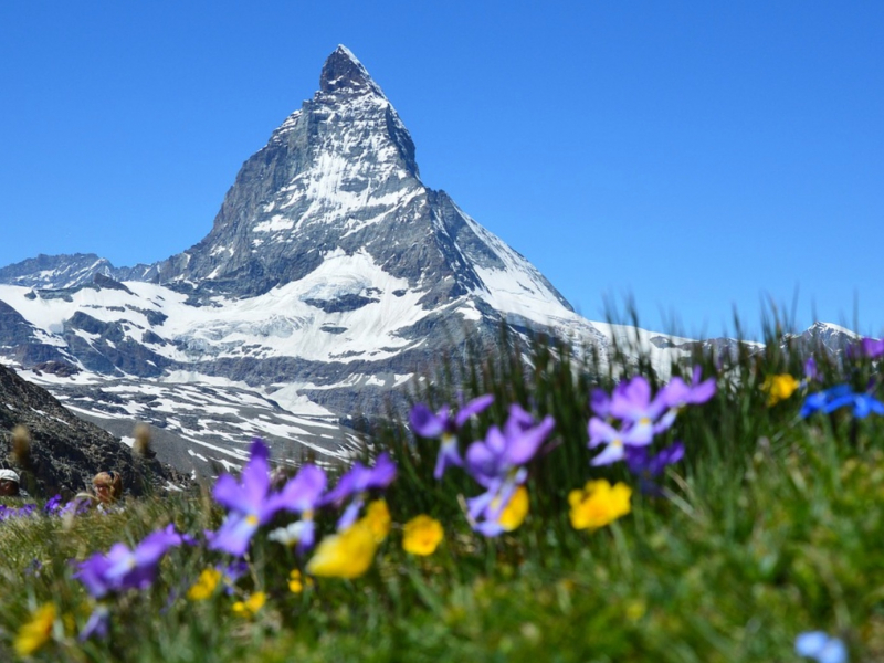 ChobhamTravel's tweet photo. 🚂With extraordinary rail routes (picture tunnels through snow-covered mountains and bridges over steep-sided valleys), Switzerland is made for memorable train travel.  Join this 8 day tour on 30th June 2021 from £1894  - https://t.co/VSin4ehMHO https://t.co/s4701r2LFd