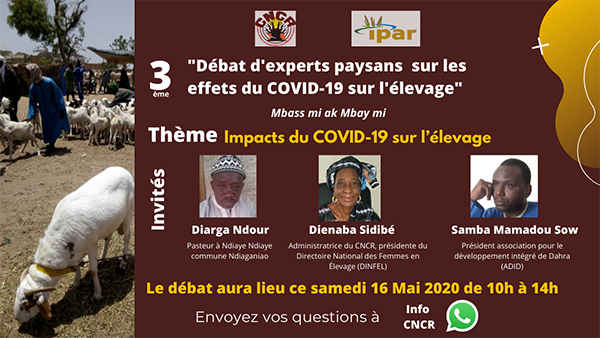 IPAR_ThinkTank's tweet photo. #CNCR - @IPAR_ThinkTank organisent
➡️LE 3ÈME DÉBAT D’EXPERTS PAYSANS SUR LES IMPACTS DU COVID-19 SUR L’#ÉLEVAGE - MBASS MI AK MBAY MI
https://t.co/BlQkGnb6wL
#Coronavirussn
#Covid19
#kebetu
#pastoralisme https://t.co/JbXhEv78kg